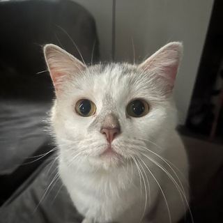 Telegram profile photo for 小希的朋友圈