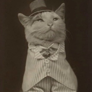 Telegram profile photo for Сам себе Сократ