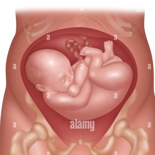 Telegram profile photo for حل نماذج أوسكي ولادة