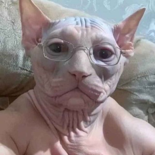 Telegram profile photo for рёнджун наруто