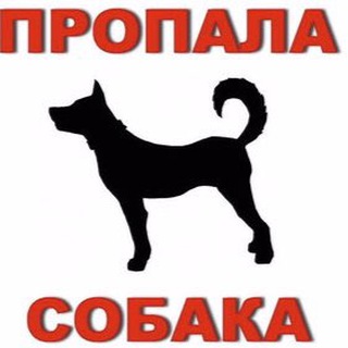 Telegram profile photo for Пропала/найдена собака