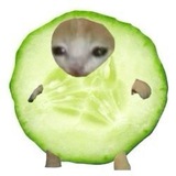 Telegram profile photo for сохранёнки алёны хангри