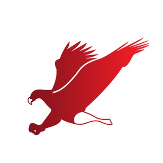 Telegram profile photo for Direto Da América