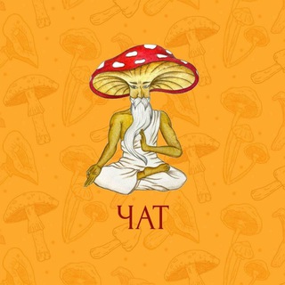 Telegram group profile photo for Мудрий мухомор - чат однодумців