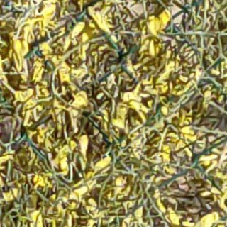 Telegram profile photo for قناة كواشف التاريخ