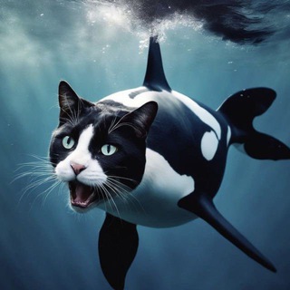 Telegram profile photo for Orcat Portal