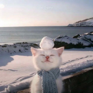 Telegram profile photo for Гифки чатов? Gif ГІф