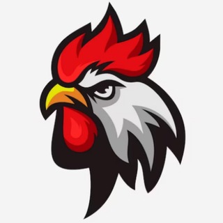 Telegram group profile photo for សង្វៀនព្រែកចាក🐓💸