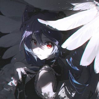 Telegram profile photo for Noktum