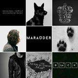 Telegram profile photo for ♤~Sirius Negro{Дневник}~♤