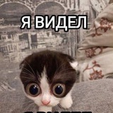 Telegram profile photo for что я увидела на прогулке