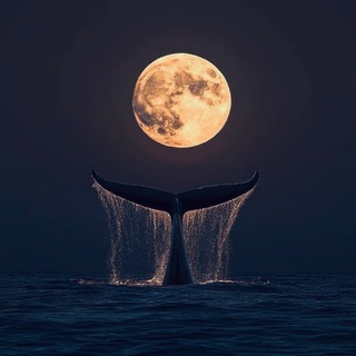 Telegram profile photo for ماهِ من
