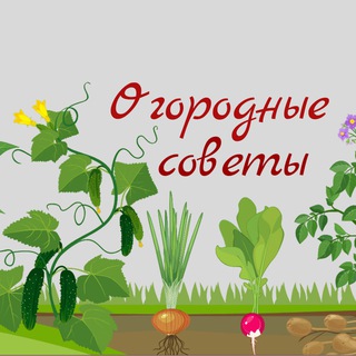 Telegram profile photo for Огородные советы