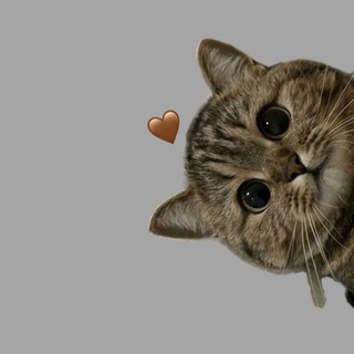 Telegram profile photo for 2:4