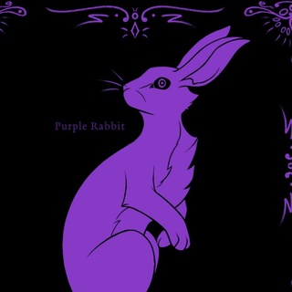 Telegram profile photo for Purple Rabbit