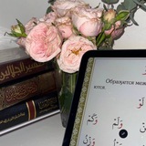 Telegram profile photo for аль ашария