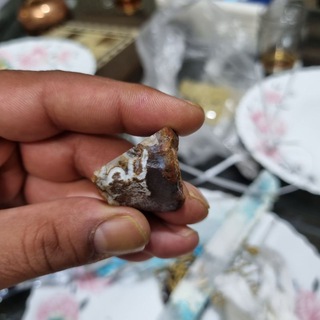 Telegram profile photo for پخش پوشاک بچگانه بهار