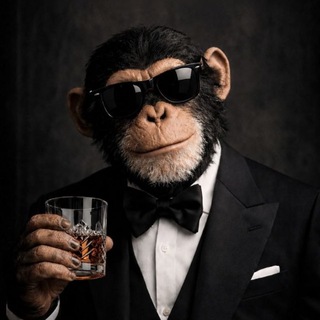 Telegram profile photo for Dr monkey | VPN