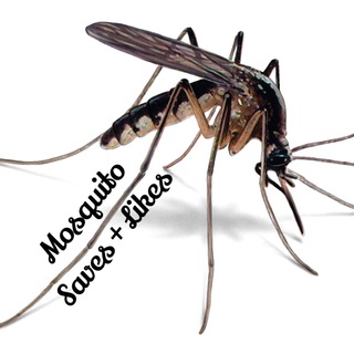 Telegram group profile photo for Mosquito Saves + Likes