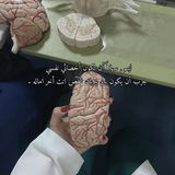 Telegram profile photo for ما وراء السؤال 🧠