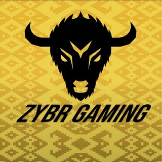 Telegram profile photo for ZYBR Gaming