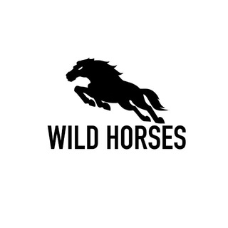 Telegram profile photo for Wild Horses Analytics