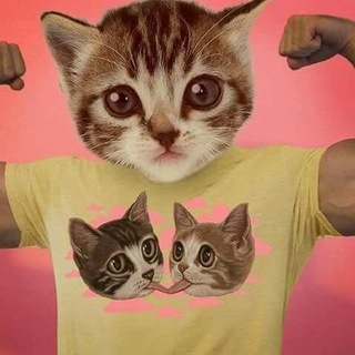 Telegram profile photo for Дедлайн спит