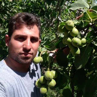 Telegram profile photo for نهالستان ژنوتیپ برتر