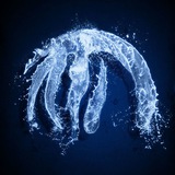Telegram profile photo for Rancho El Ojo de Aqua
