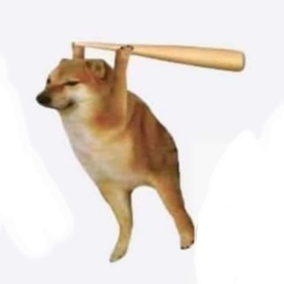 Telegram profile photo for Vui Cùng Mèo