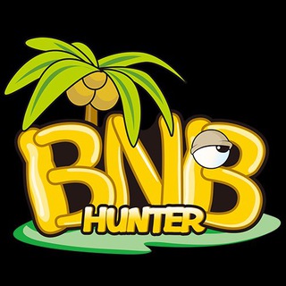 Telegram profile photo for BNBHunter Official Channel