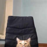 Telegram profile photo for подкованы