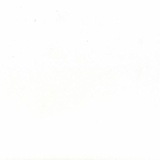Telegram profile photo for White Material Label🤍