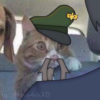 Telegram profile photo for Носочке рисует
