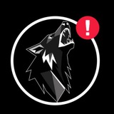 Telegram profile photo for Alpha Wolf Finance News 📰
