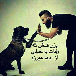 Telegram profile photo for اســـــــتامــیــــنـوفــن