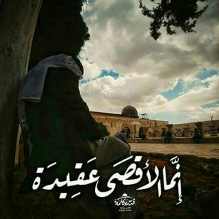 Telegram profile photo for حكمة رجل عجوز