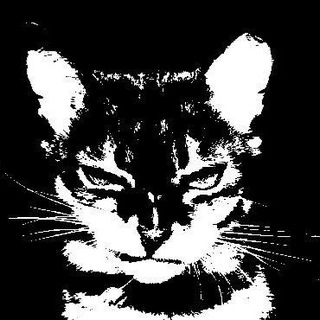 Telegram profile photo for 𝙥𝙖𝙩𝙝 𝙩𝙤 𝙮𝙤𝙪𝙧 𝙨𝙤𝙪𝙡