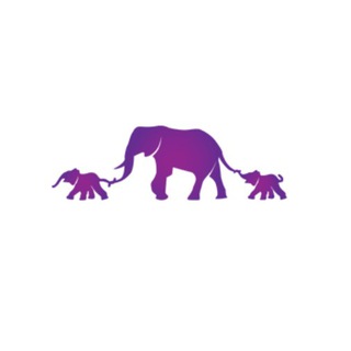 Telegram profile photo for together-forever.fund