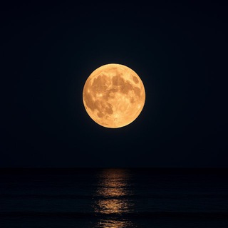 Telegram profile photo for طلــوعـ🌓ـتاریــکـ