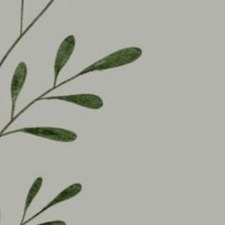 Telegram profile photo for HAFSA