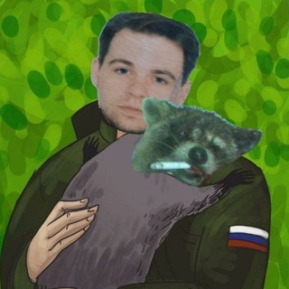 Telegram profile photo for Притон Вологжанина (ну это который Енот🦝)