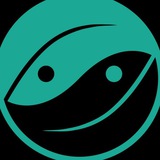 Telegram profile photo for MintyDAO news