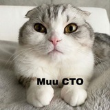 Telegram profile photo for Muu CTO PORTAL