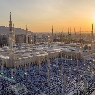 Telegram profile photo for حلقة فضيلة الشيخ أ.د. بدر بن ناصر البدر بالمسجد النبوي