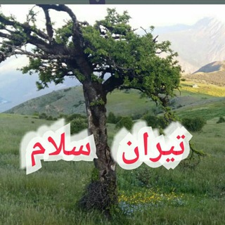 Telegram profile photo for تیران سلام