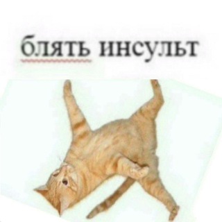 Telegram profile photo for Инсульт тиктока