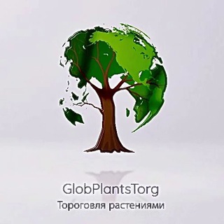 Telegram profile photo for РАСТЕНИЯ ОПТОМ - PlantsTorg 🌳🌿