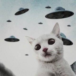 Telegram profile photo for КотЯ Foundation