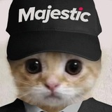 Telegram profile photo for INFO | CAPT MAJESTIC